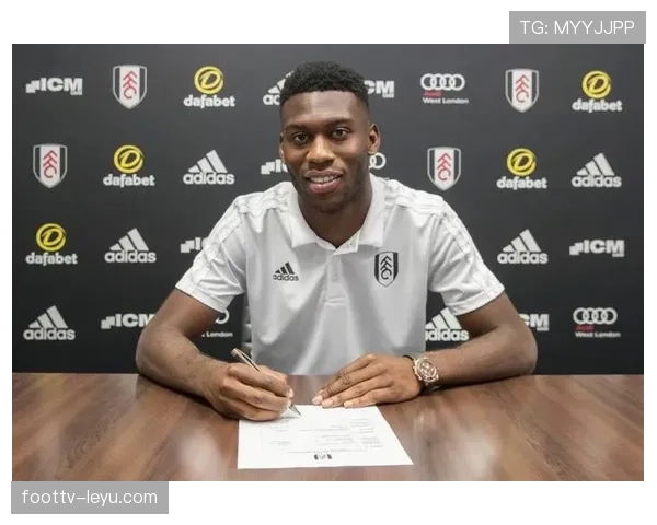 富勒姆夏窗聚焦潜力新星,深度补强阵容引关注 富勒姆夏窗聚焦潜力新星,深度补强阵容引关注