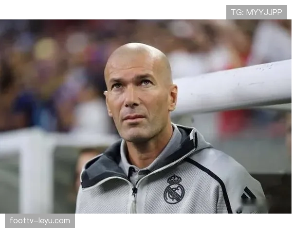 齐达内赛场智慧大揭秘：如何巧妙应对挑战成就高光时刻