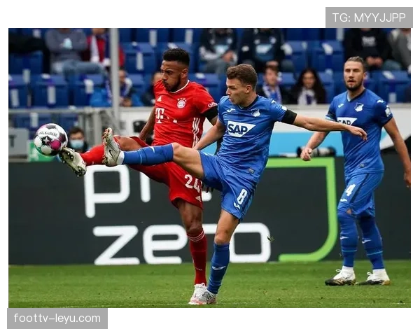 霍芬海姆防守体系崛起，表现稳健应对德甲挑战分析