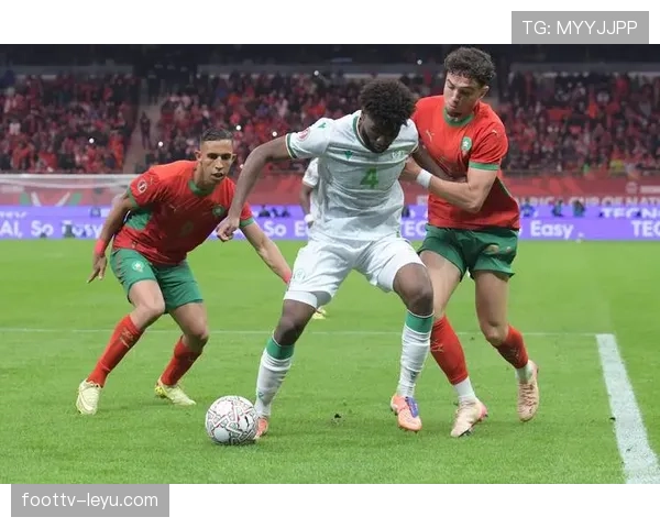 非洲杯新王诞生，精彩赛事提升大陆足球热情表现稳健