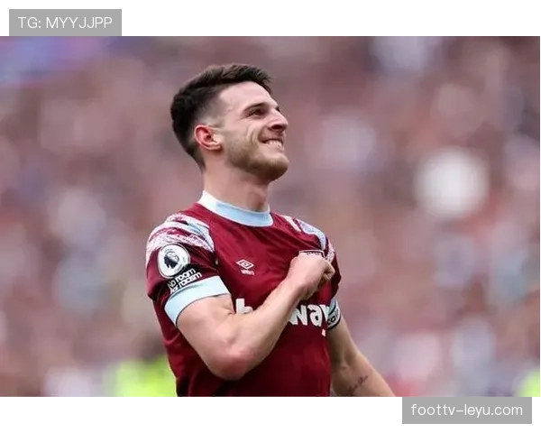 赖斯是否只是纯防守型中场?战术角色与全能性分析